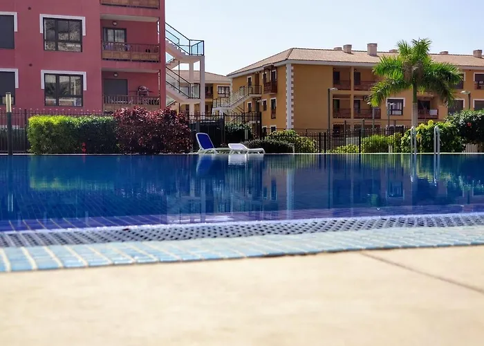 Luminoso Y Elegante, Piscinas Y Pistas De Padel